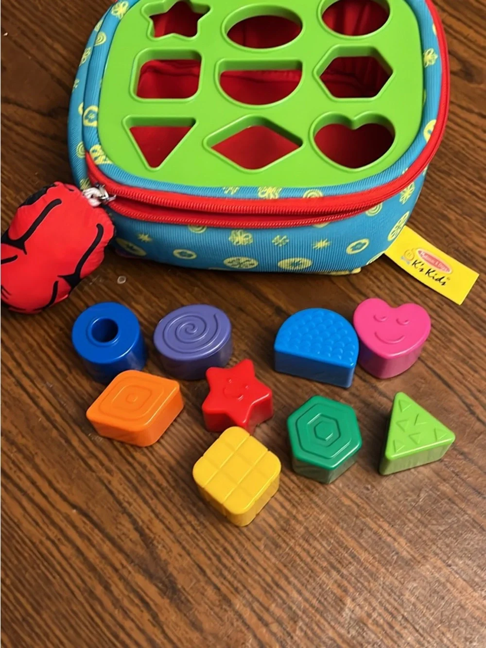 Colorful Shape Sorter Toy - Green, Blue, Red, Yellow Set